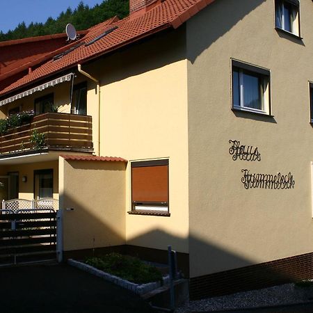 Haus-Kummeleck-Wohnung-3 Bad Lauterberg Dış mekan fotoğraf