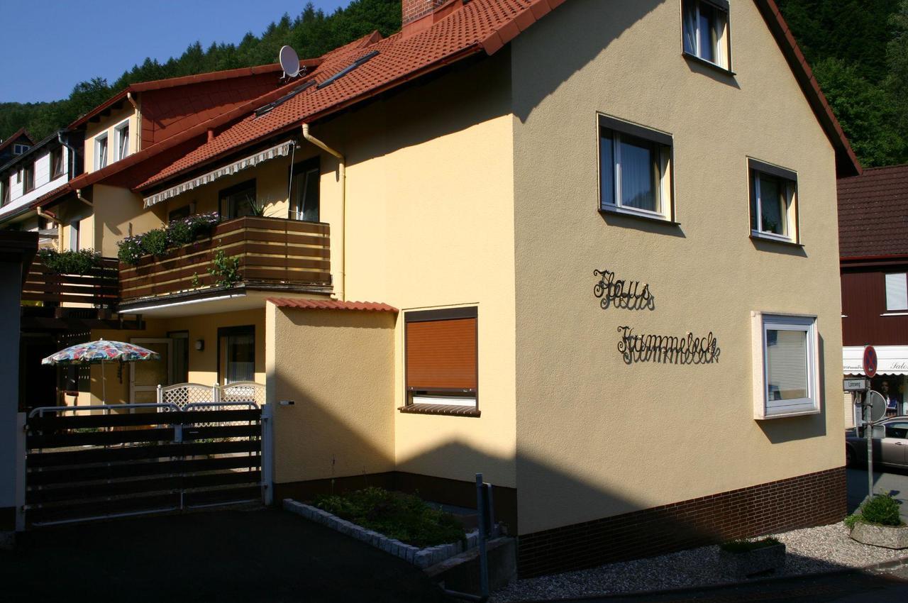 Haus-Kummeleck-Wohnung-3 Bad Lauterberg Dış mekan fotoğraf