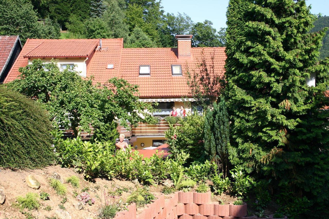 Haus-Kummeleck-Wohnung-3 Bad Lauterberg Dış mekan fotoğraf